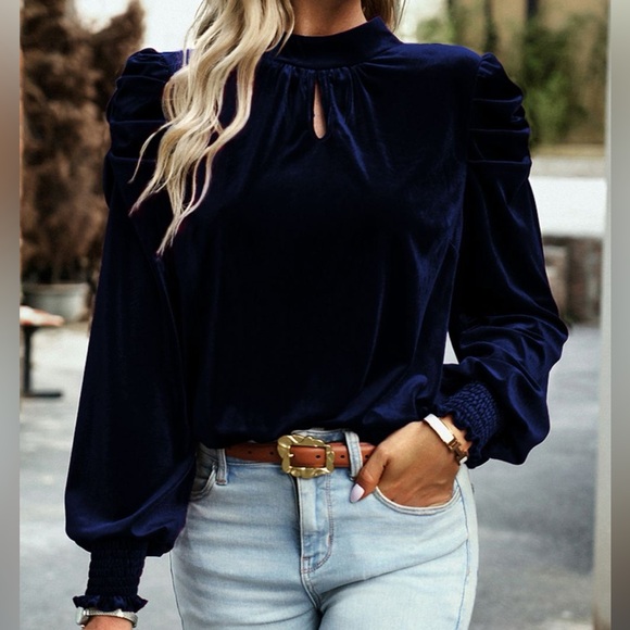 Tie Up Mock Neck Velvet Fabric Long Sleeve Blouse - Picture 8 of 12